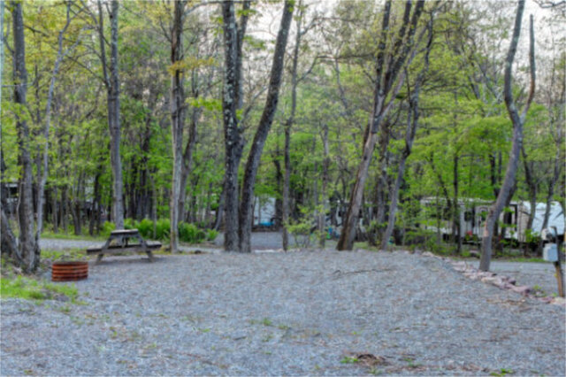Site D9