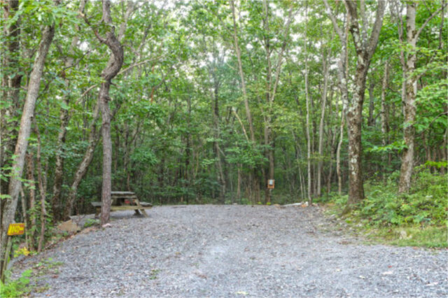 Site M40