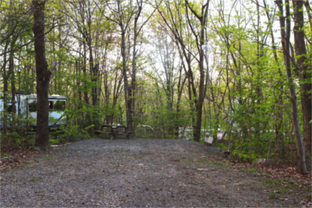 Site M17