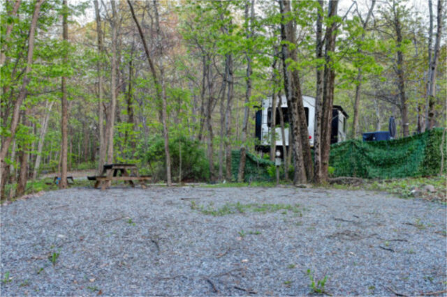 Site F13