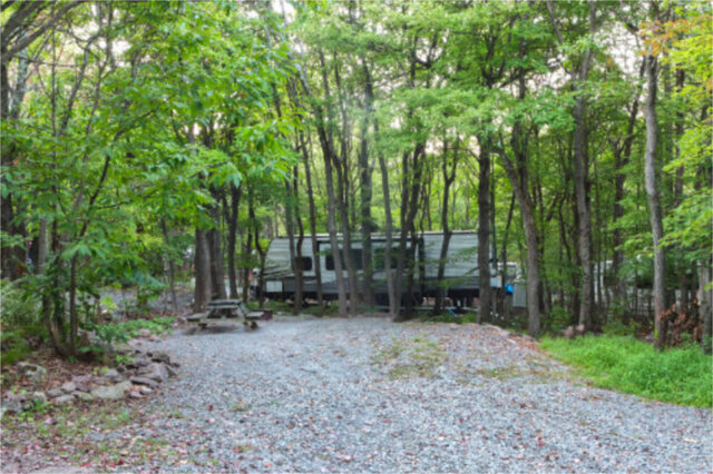 Site D11