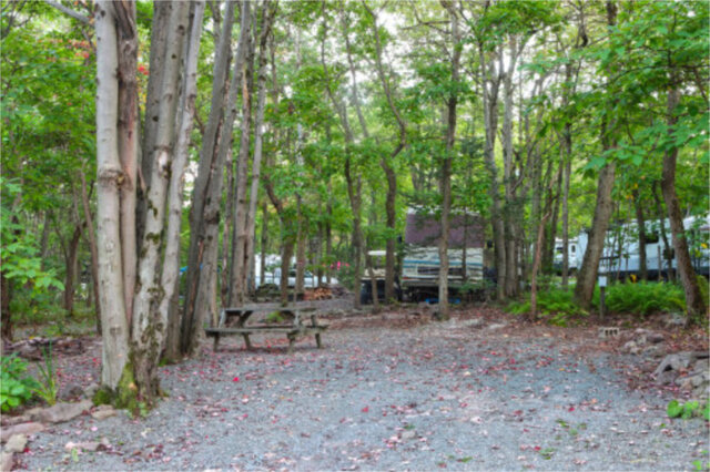 Site B1