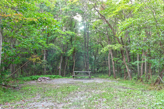 Site CM1