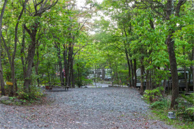 Site D13