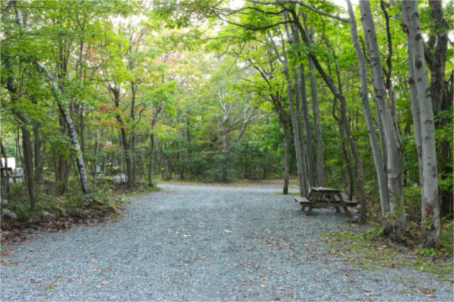 Site B6