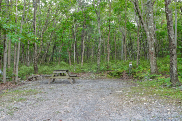 Site M36