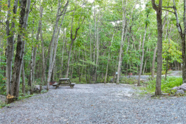 Site M46