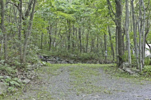 Site S12