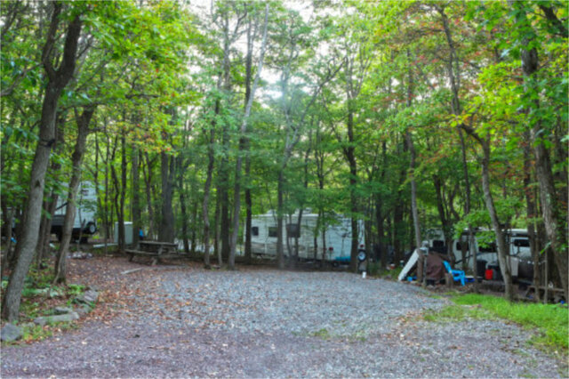 Site F14