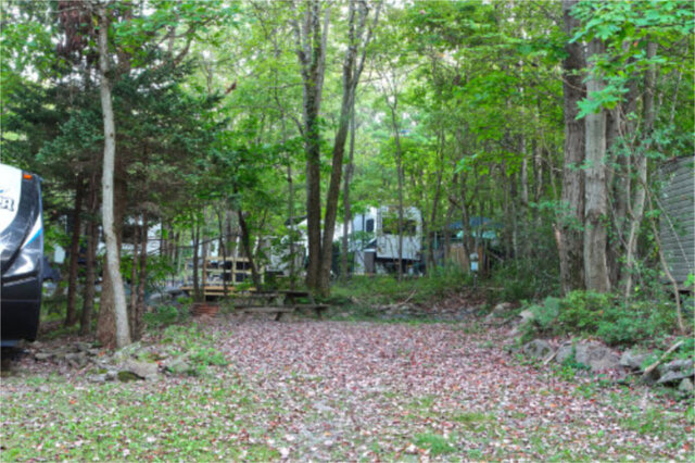 Site B7