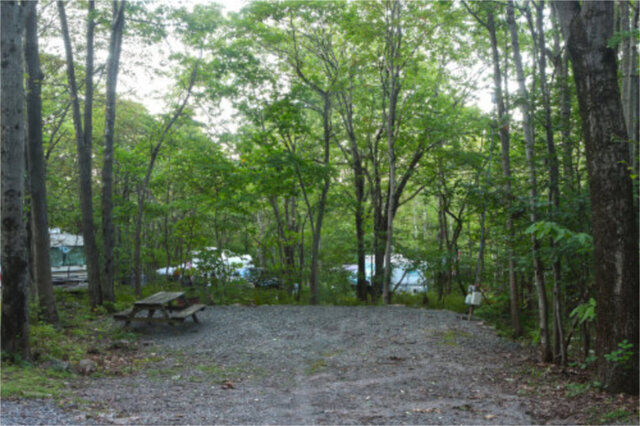 Site M11
