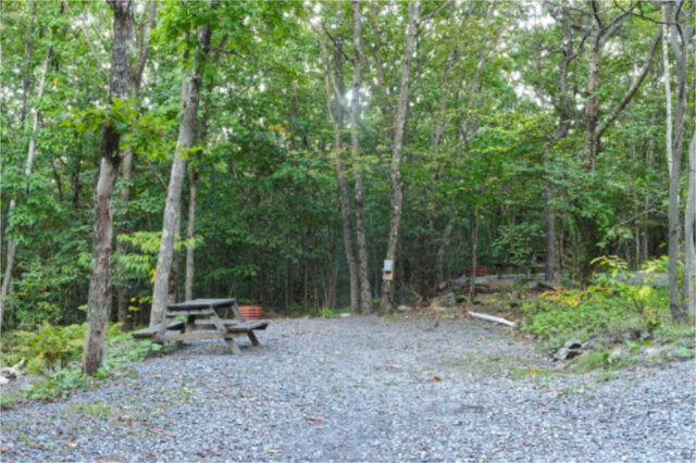Site M42