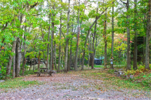 Site F5