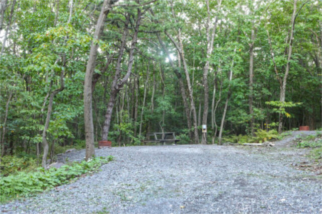 Site M44