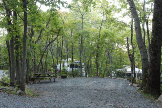 Site S3