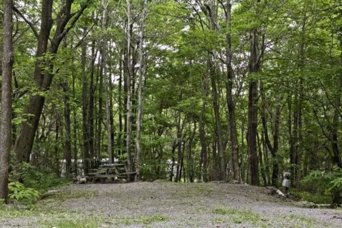Site M15