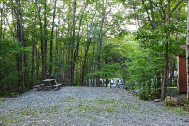 Site M31