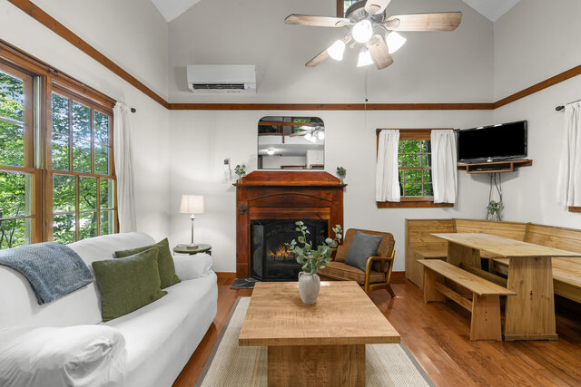 Image 1 for Dancing Bear