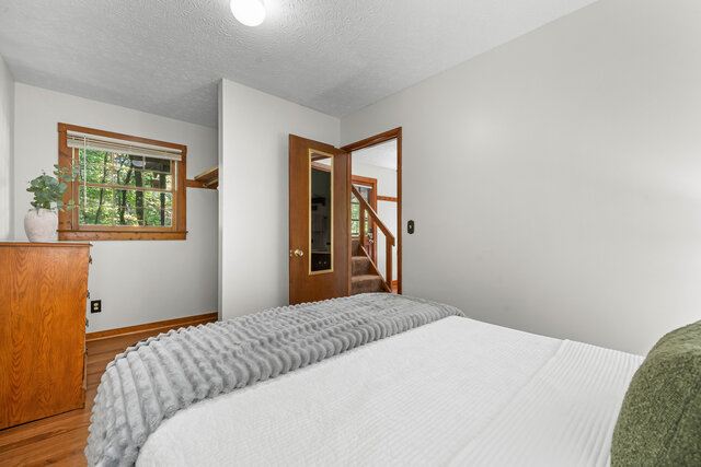 Image 11 for Dancing Bear