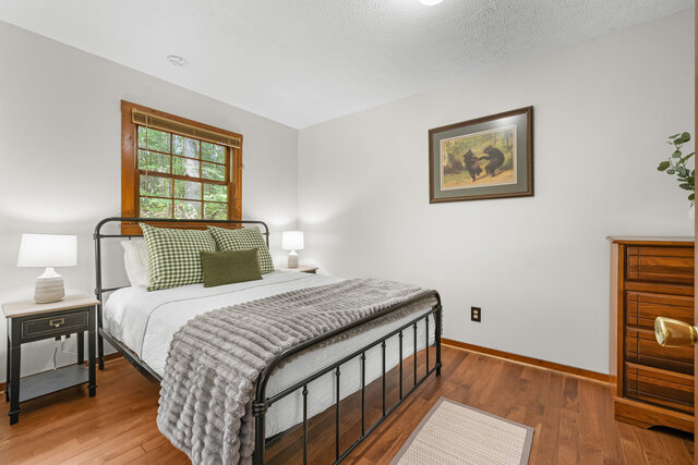 Image 10 for Dancing Bear