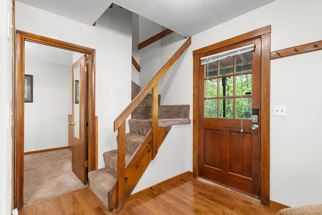 Image 12 for Dancing Bear