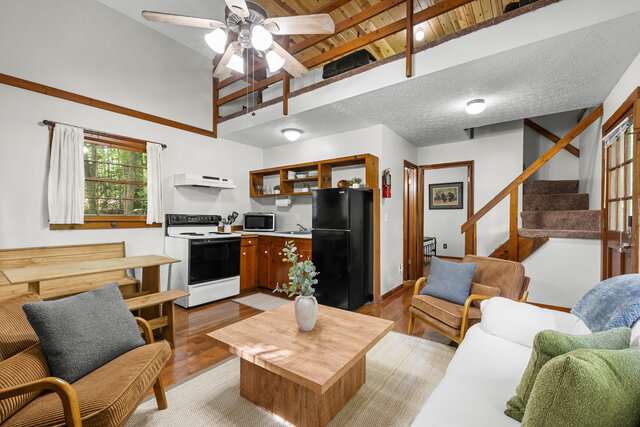 Image 6 for Dancing Bear