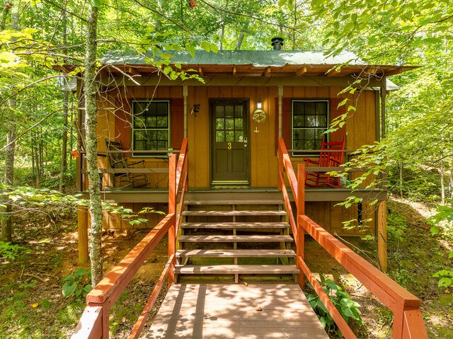 Image 2 for Dragon Fly