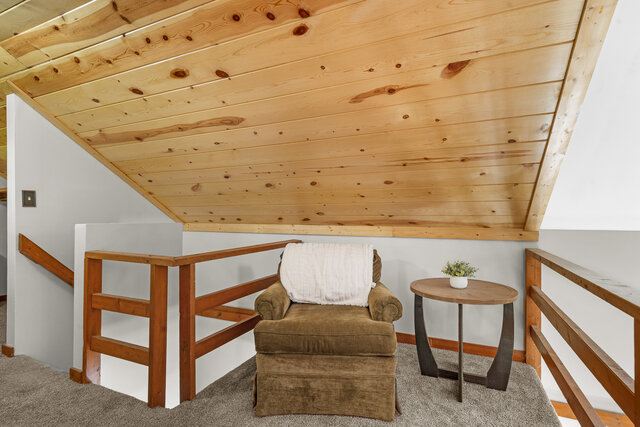 Image 15 for Dancing Bear