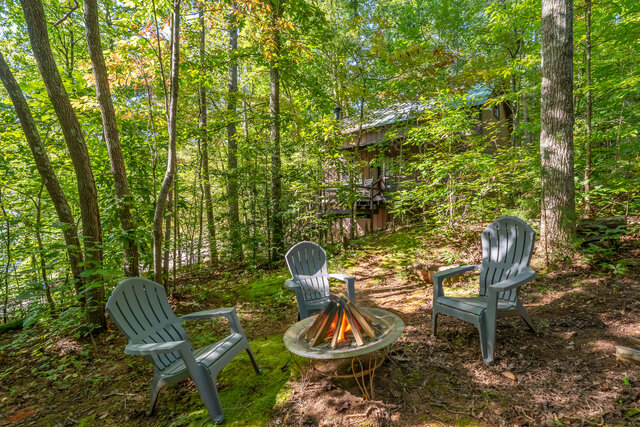 Image 2 for Dancing Bear