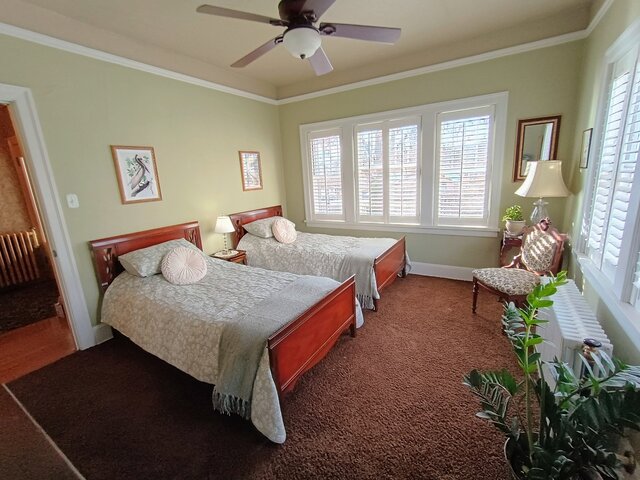 Image 1 for The Pelican