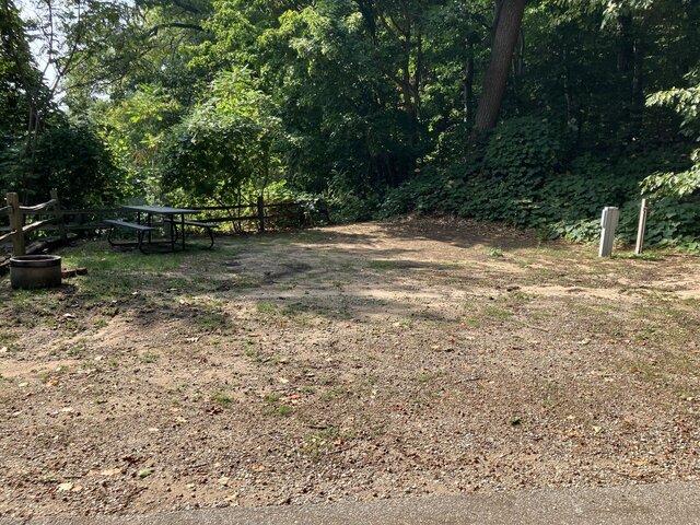 Image 1 for C03 - Non reserved site