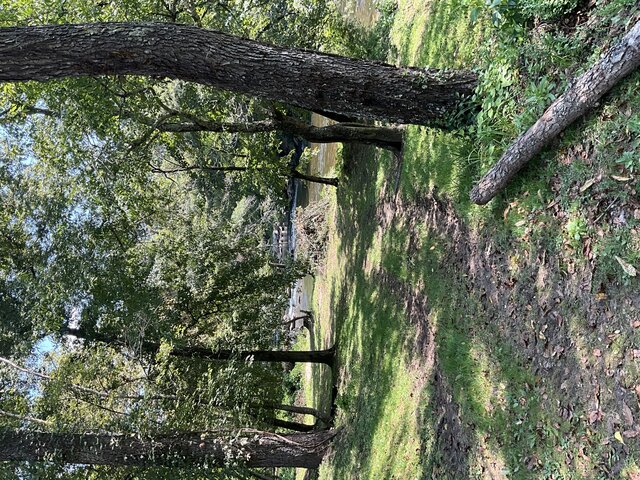 Image 3 for Site 26 - Premium River Front Tent Site