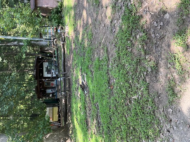 Image 1 for Site 32 - Tent Site - Middle Section