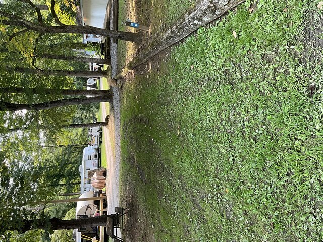 Image 1 for Site 40 - Tent Site - Middle Section