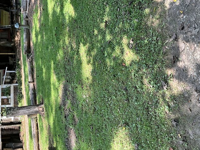 Image 2 for Site 30 - Tent Site - Middle Section