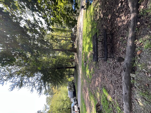 Image 3 for Site 32 - Tent Site - Middle Section