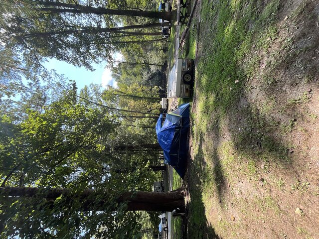 Image 2 for Site 31 - Tent Site - Middle Section