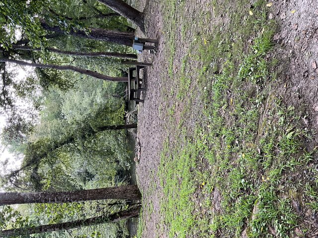 Image 1 for Site 22 - Premium River Front Tent Site