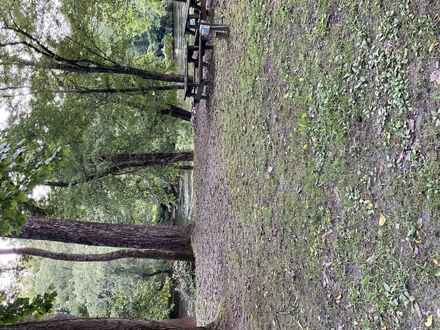 Image 1 for Site 23 - Premium River Front Tent Site