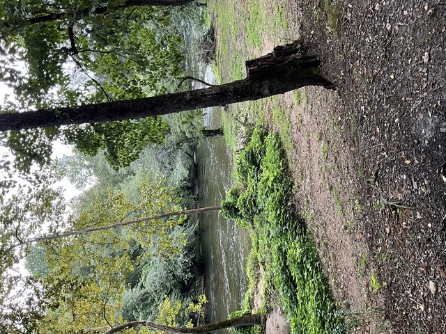 Image 3 for Site 19 - Premium River Front Tent Site