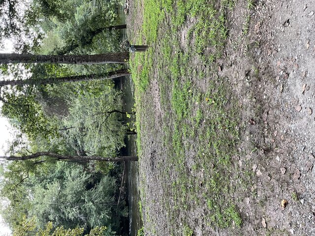 Image 1 for Site 21 - Premium River Front Tent Site