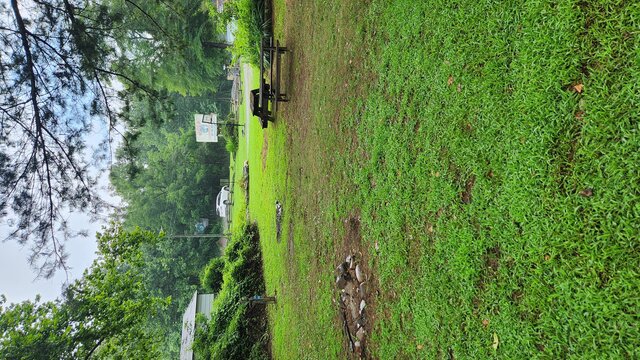 Image 1 for Site 45 - Tent Site - Middle Section