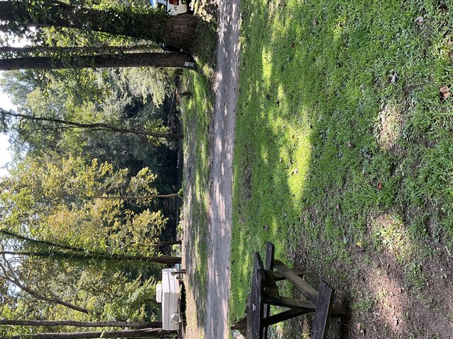 Image 1 for Site 30 - Tent Site - Middle Section