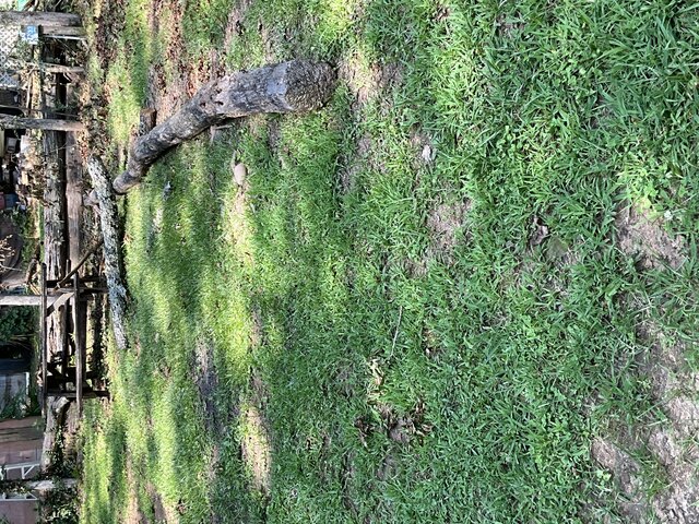 Image 2 for Site 33 - Tent Site - Middle Section