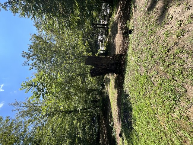 Image 3 for Site 16 - Premium RV River Site Full Hook-Up