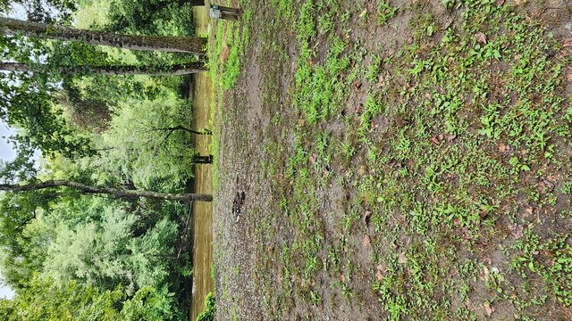 Image 4 for Site 21 - Premium River Front Tent Site