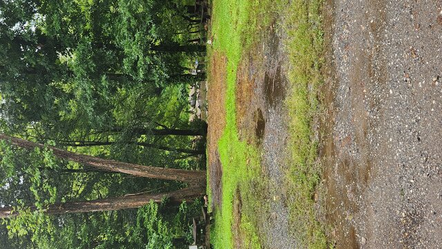 Image 1 for Site 12 A - Premium RV River Site Full Hook-Up