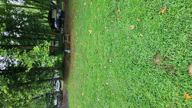 Image 1 for Site 43 - Tent Site - Middle Section