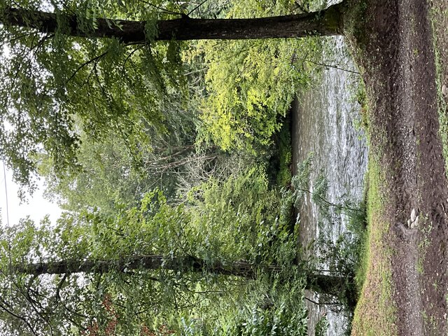 Image 3 for Site 2 - Premium RV River Site Full Hook-Up