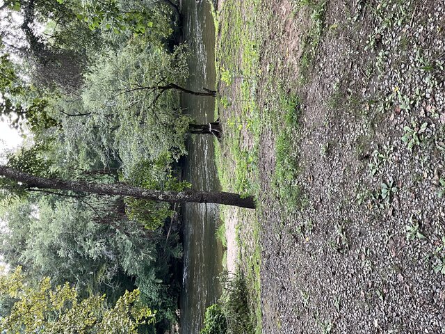 Image 2 for Site 21 - Premium River Front Tent Site